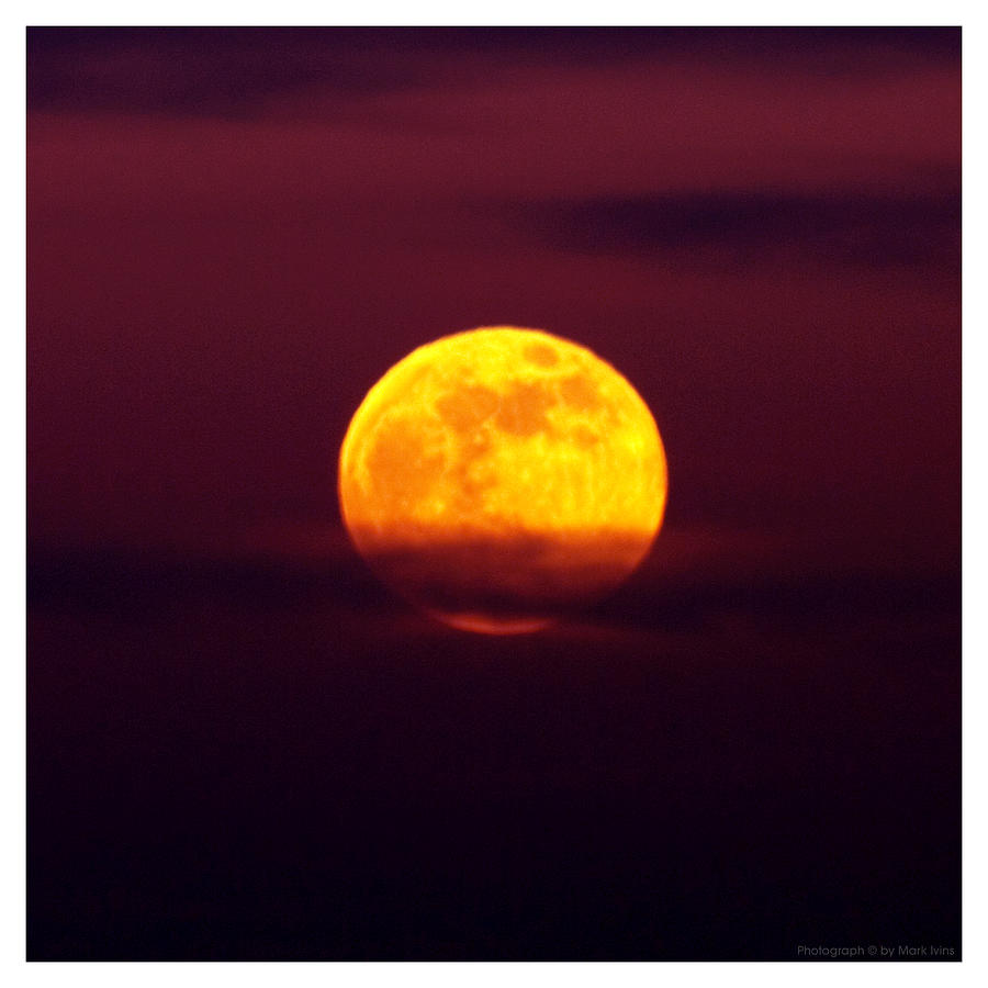 Yellow Moon Photograph by Mark Ivins