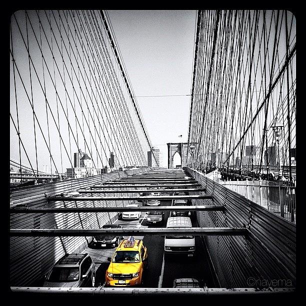 Taxi Photograph - Yellow by Natasha Marco