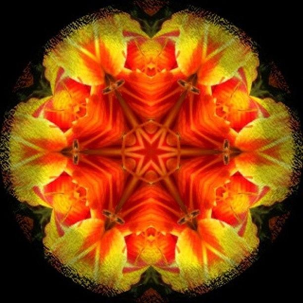 Instagram Photograph - #yellow #orange And #red #star #fractal by Pixie Copley