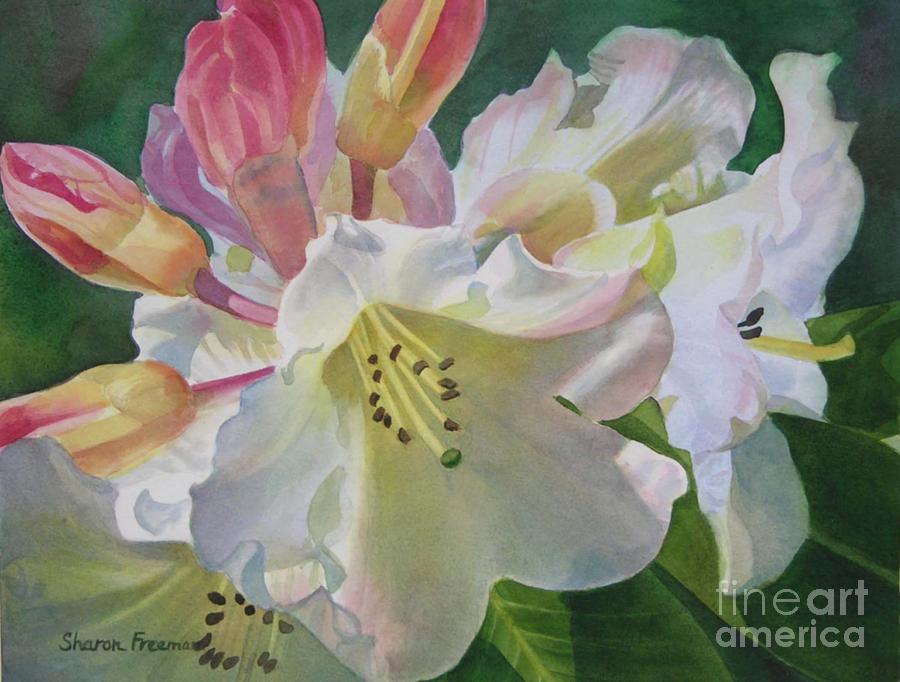 Yellow Rhododendron with Buds Painting by Sharon Freeman