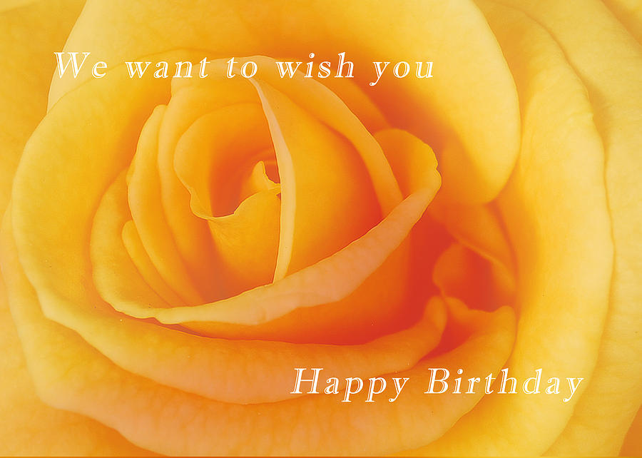 Yellow rose birthday card Photograph by Michael Peychich