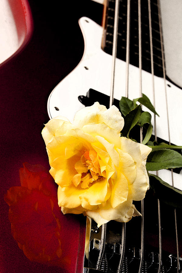 Yellow Rose Red Electric Bass Guitar Photograph by M K Miller