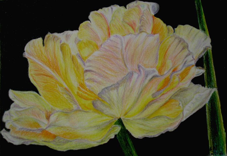 Yellow Tulip Painting by Meenakshi Karmakar - Fine Art America