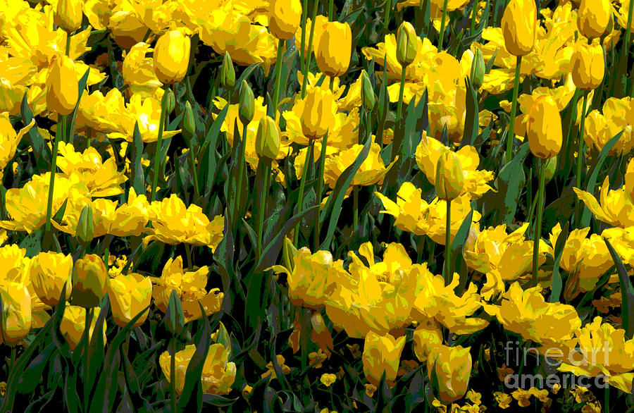 Yellow Tulips 2 Digital Art by Fran Woods