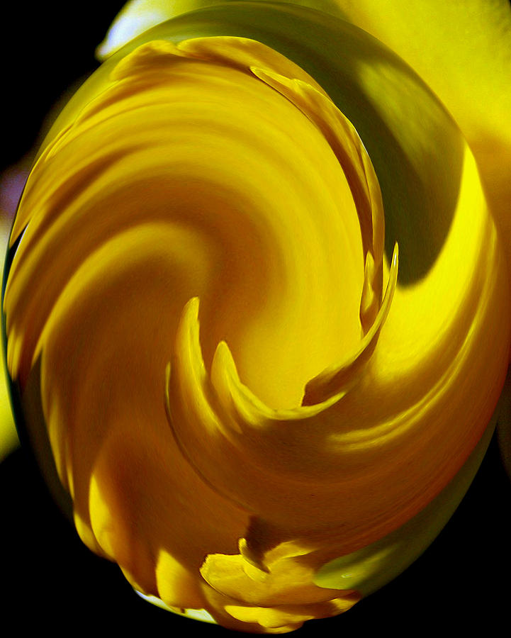 Yellow Twirl Photograph by Karen Harrison Brown