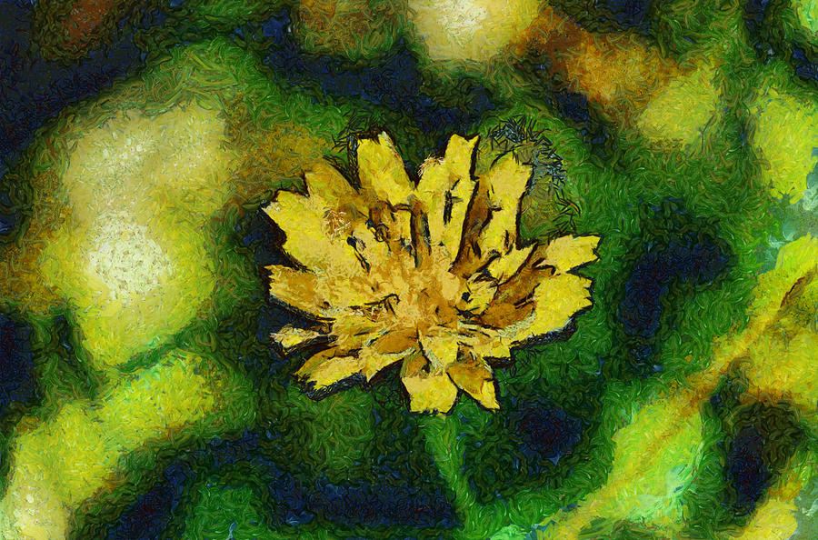 Yellow widflower Photograph by Michael Goyberg