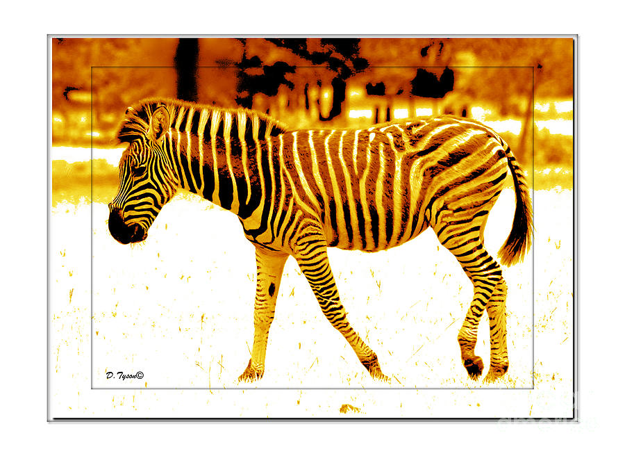 Yellow Zebra Painting by Diana Tyson