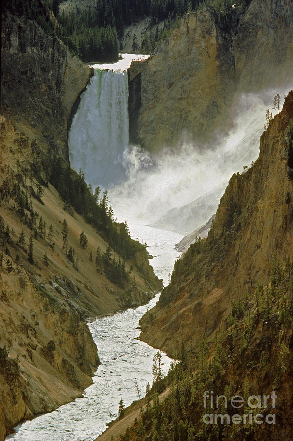 Yellowstone Falls  Photograph by Craig Lovell