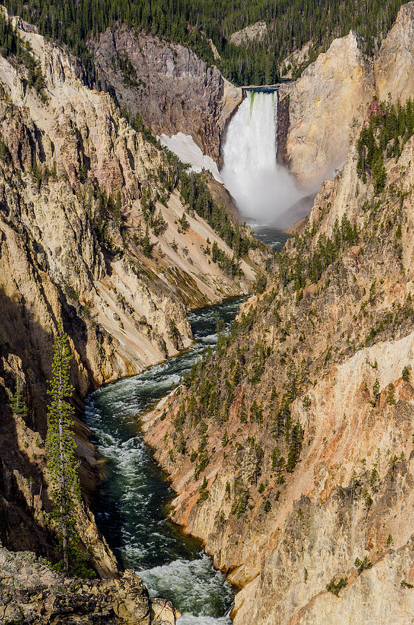 Yellowstone Falls from Artists Point Photograph by Greg Nyquist