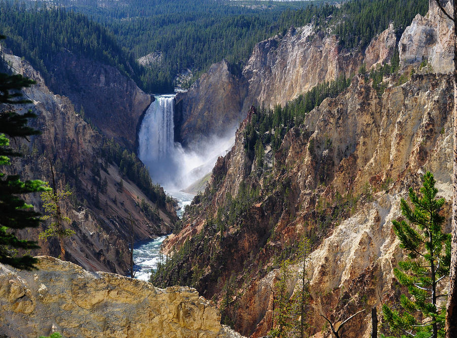 Yellowstone Falls Photograph by Geraldine Alexander
