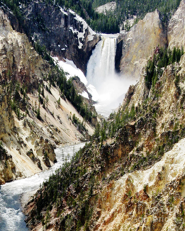 Yellowstone Falls Photograph by Patricia Januszkiewicz