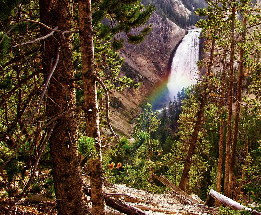 Yellowstone Falls With Rainbow Digital Art by Gary Baird