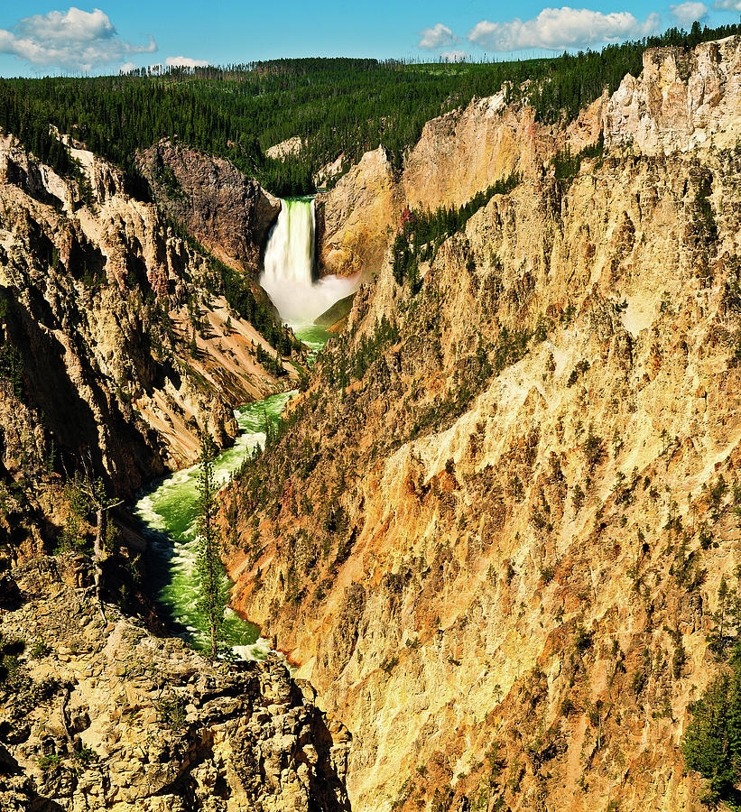 Yellowstone Grand Canyon Photograph by Greg Norrell