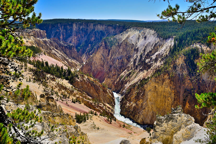 Yellowstone Grand Canyon North Rim View Photograph by Greg Norrell