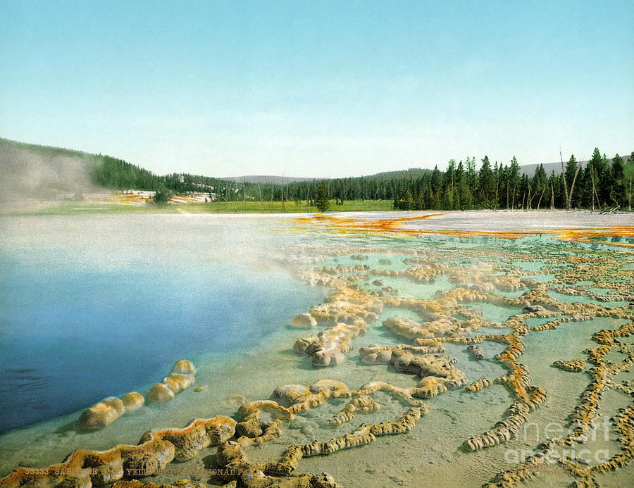 Yellowstone: Hot Spring Photograph by Granger
