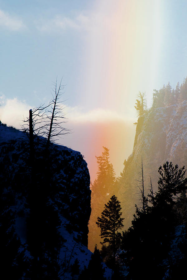 Yellowstone Ice Fog Rainbow Photograph by D Robert Franz
