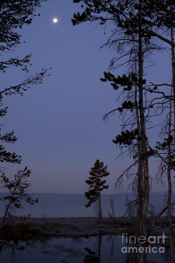 Yellowstone Lake And Moon Photograph by J L Woody Wooden