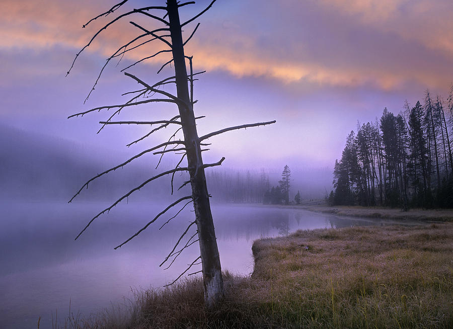 Yellowstone Lake Yellowstone National Photograph by Tim Fitzharris