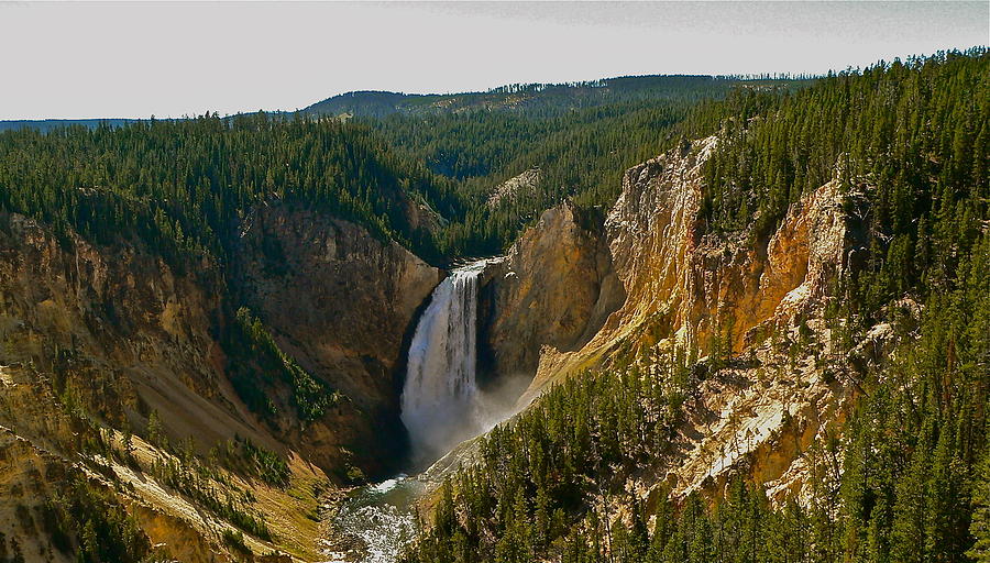 Yellowstone Lower Falls Photograph by Eric Tressler