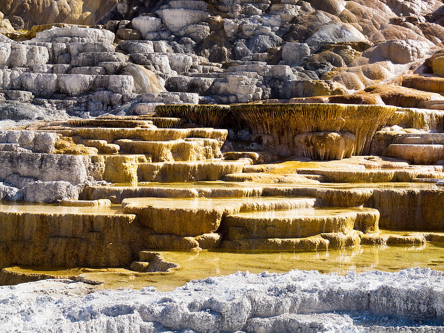 Yellowstone Mammoth Palette Spring Photograph by Phil Stone