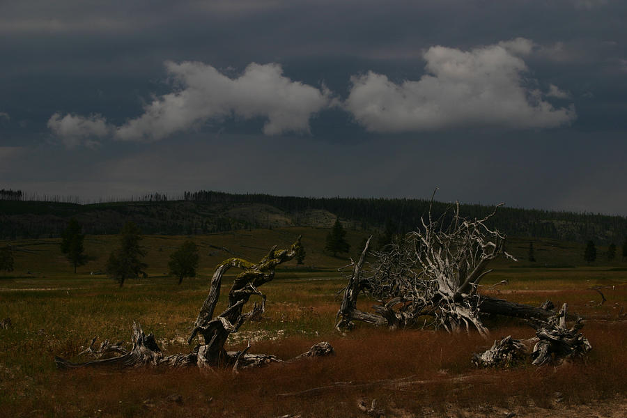 Yellowstone National Park Photograph by Benjamin Dahl