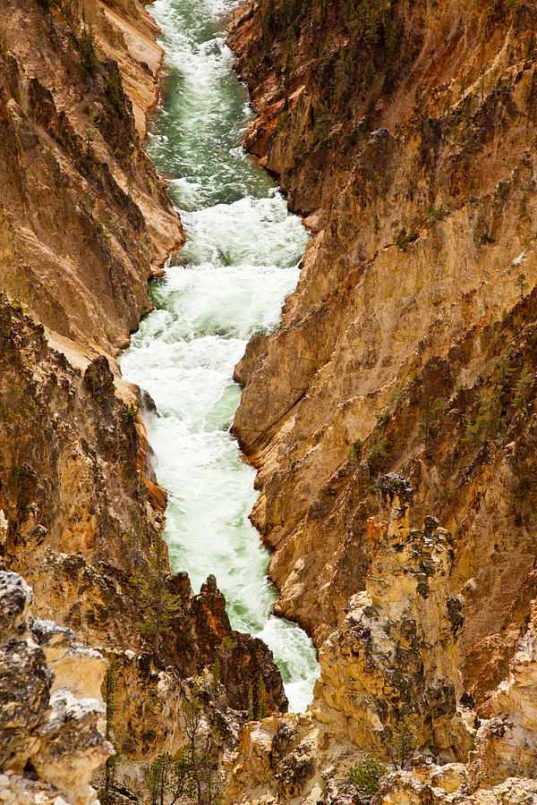 Yellowstone River Photograph by Adam Pender