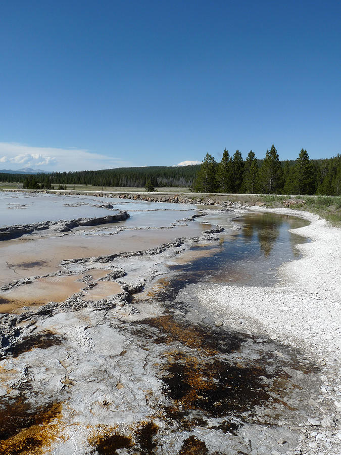 Yellowstone Thermal Area Photograph by Terry Eve Tanner