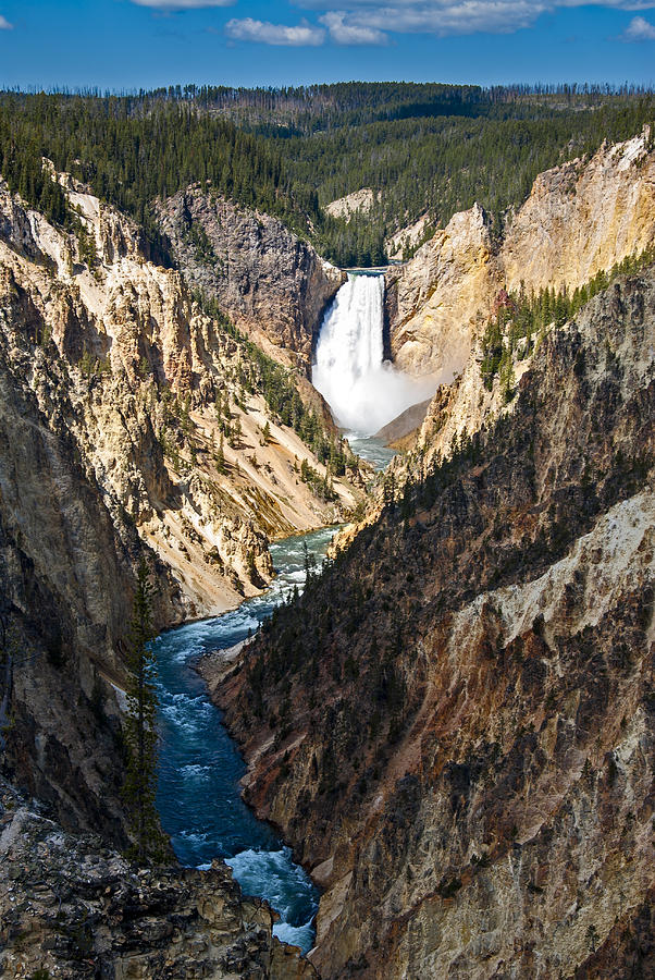 Yellowstone's Grand Canyon Upper Falls Photograph by John Reckleff