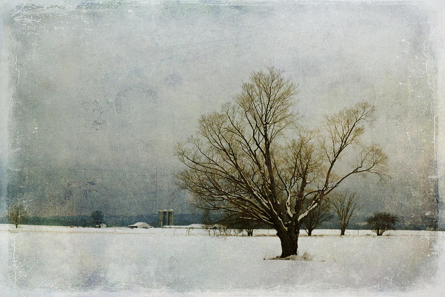 Winter Photograph - Yer Blues by Rae Jean Erickson