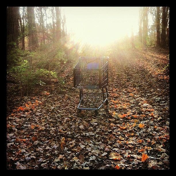 Yes. That Is A Shopping Cart In The Photograph by Evie Warner