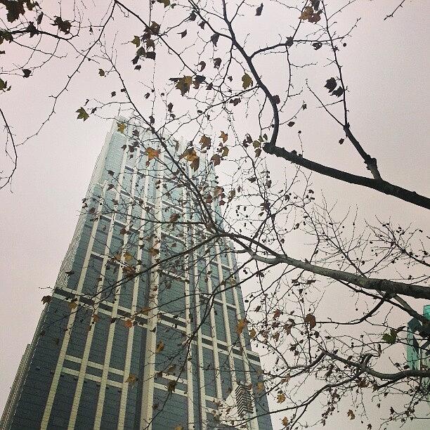 Shanghai Photograph - Yesterday Was Foggy ,sort Of The by C C