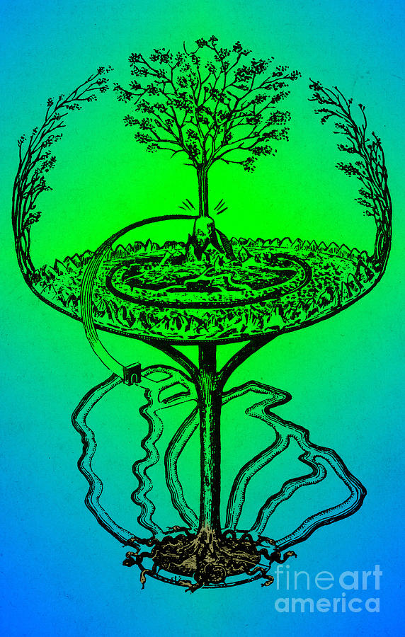 Yggdrasil From Norse Mythology Photograph by Photo Researchers