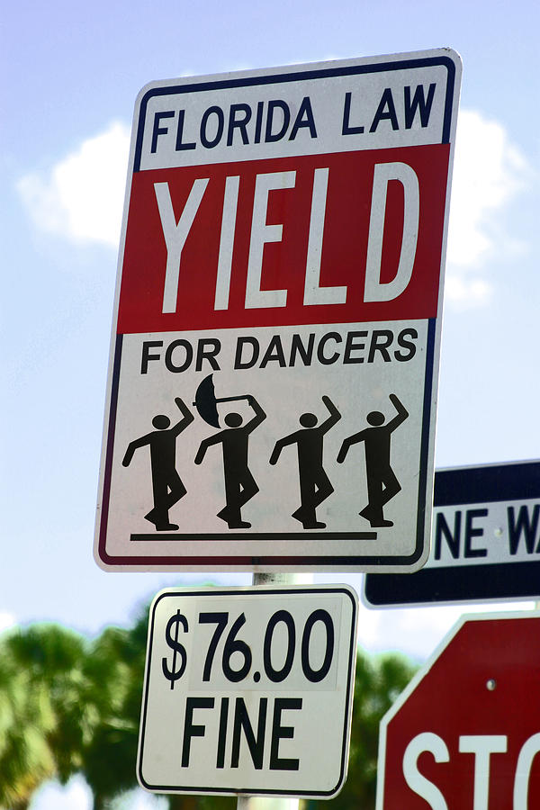 Yield for Dancers - 2 Photograph by Larry Mulvehill