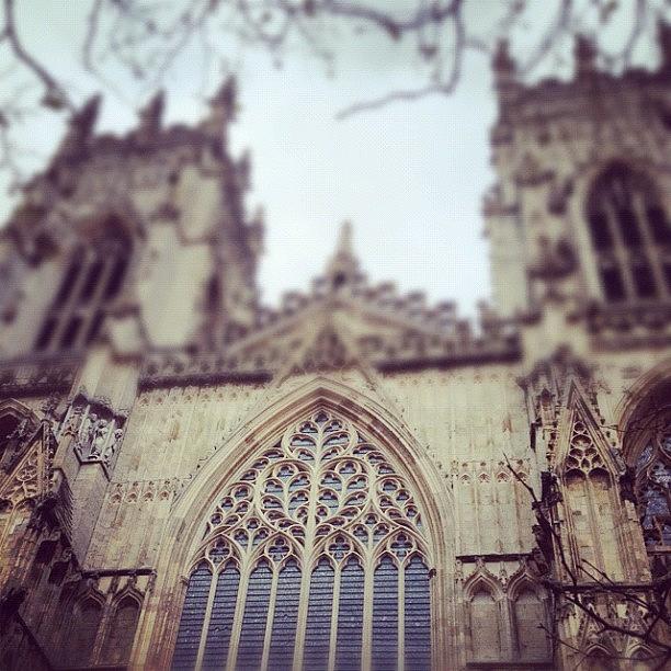 Instagram Photograph - #york #yorkminster #stainedglass by Conor Duffy