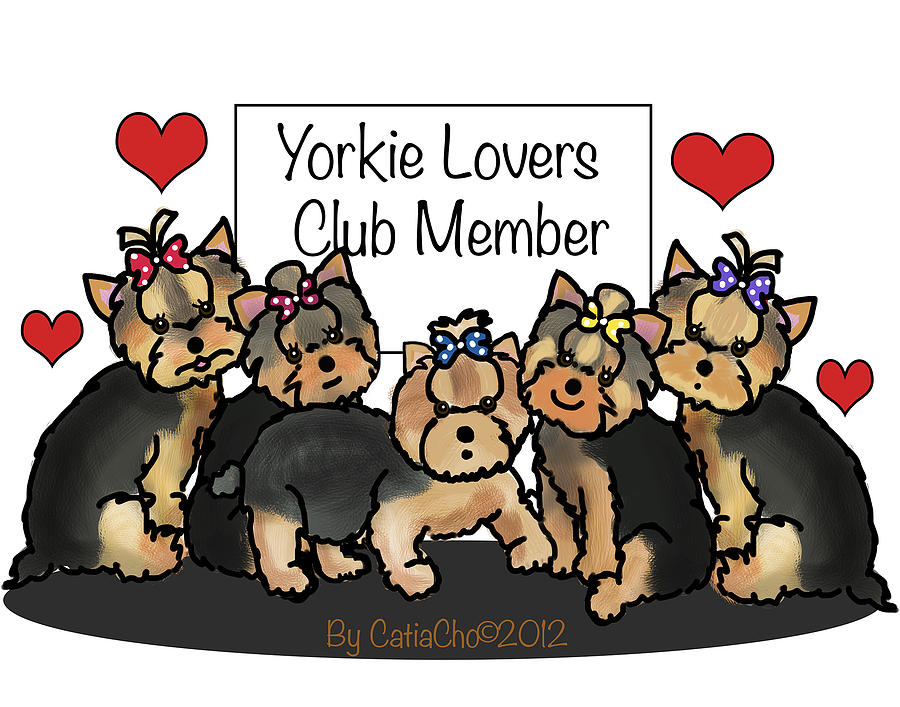 are yorkies loving