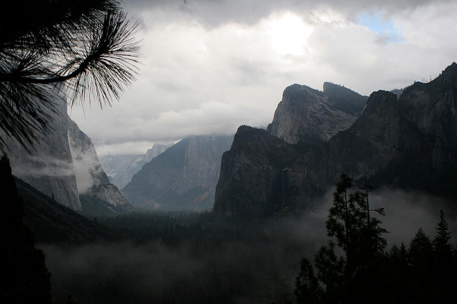 Yosemite National Park Photograph - Yosemite 187 by Rich Berrett