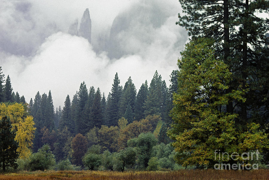 Yosemite-6-10 Photograph by Craig Lovell