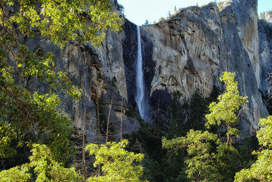 Yosemite Beauty Photograph by Tricia Marchlik