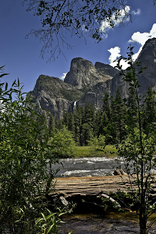 Yosemite Cathedral Peak Photograph by LeeAnn McLaneGoetz McLaneGoetzStudioLLCcom