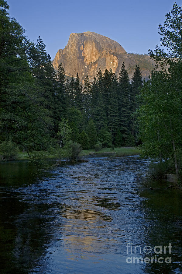 Yosemite-d123 Photograph by Craig Lovell
