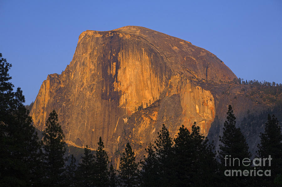 Yosemite-d173 Photograph by Craig Lovell