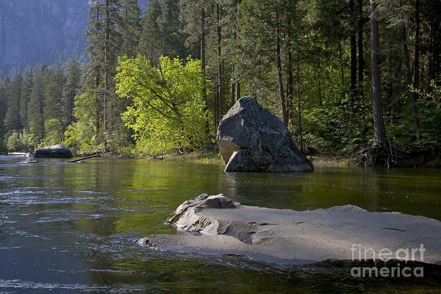 Yosemite-d86 Photograph by Craig Lovell