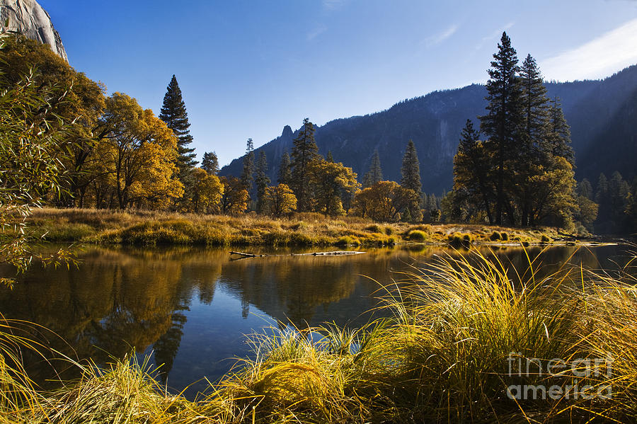 Yosemite-dd102 Photograph by Craig Lovell