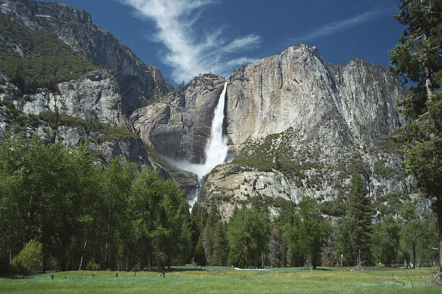 Yosemite Falls Across Meadow Photograph by David Armentrout