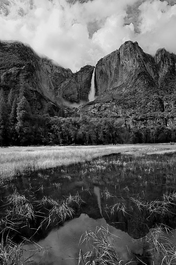 Yosemite Falls and Toulomne Meadows Photograph by Edward Kreis