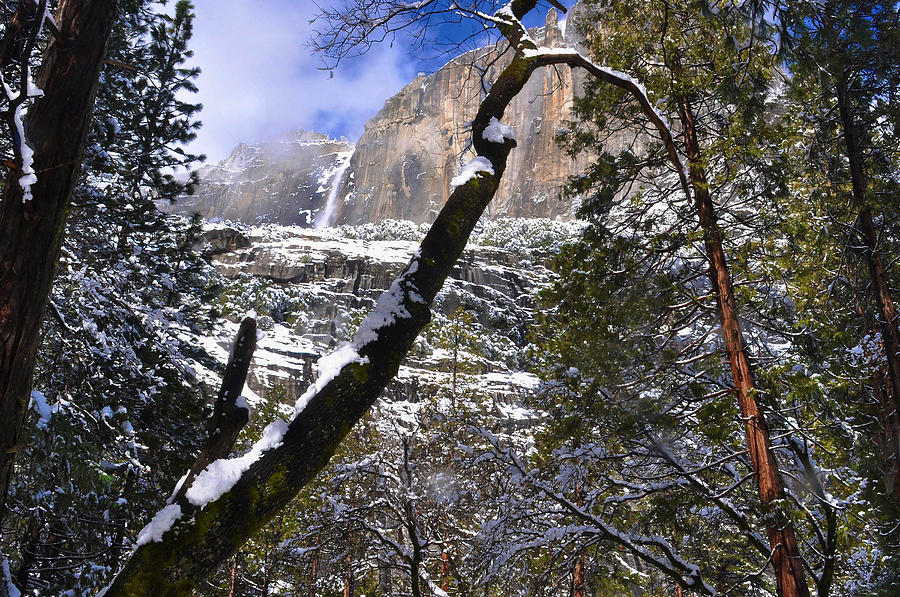 Yosemite Falls California Photograph by Marsha Williamson Mohr
