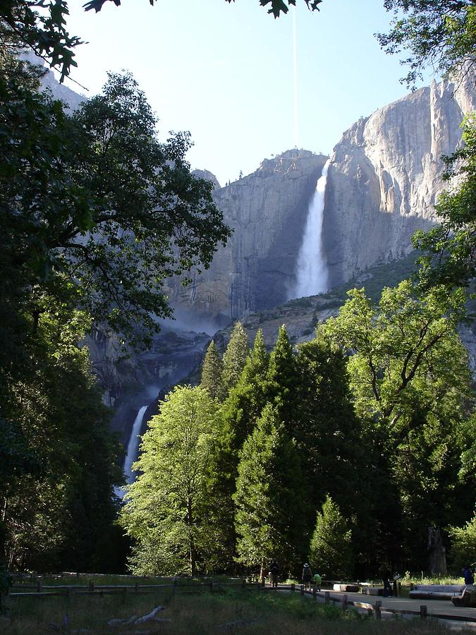 Yosemite National Park Photograph - Yosemite Falls by Cyndi Combs