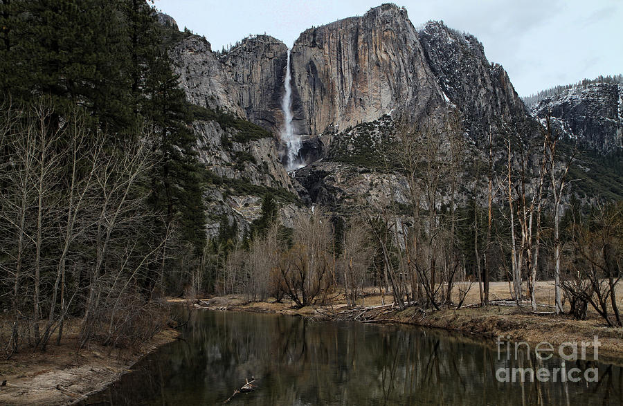 Yosemite Falls Photograph by Edward R Wisell