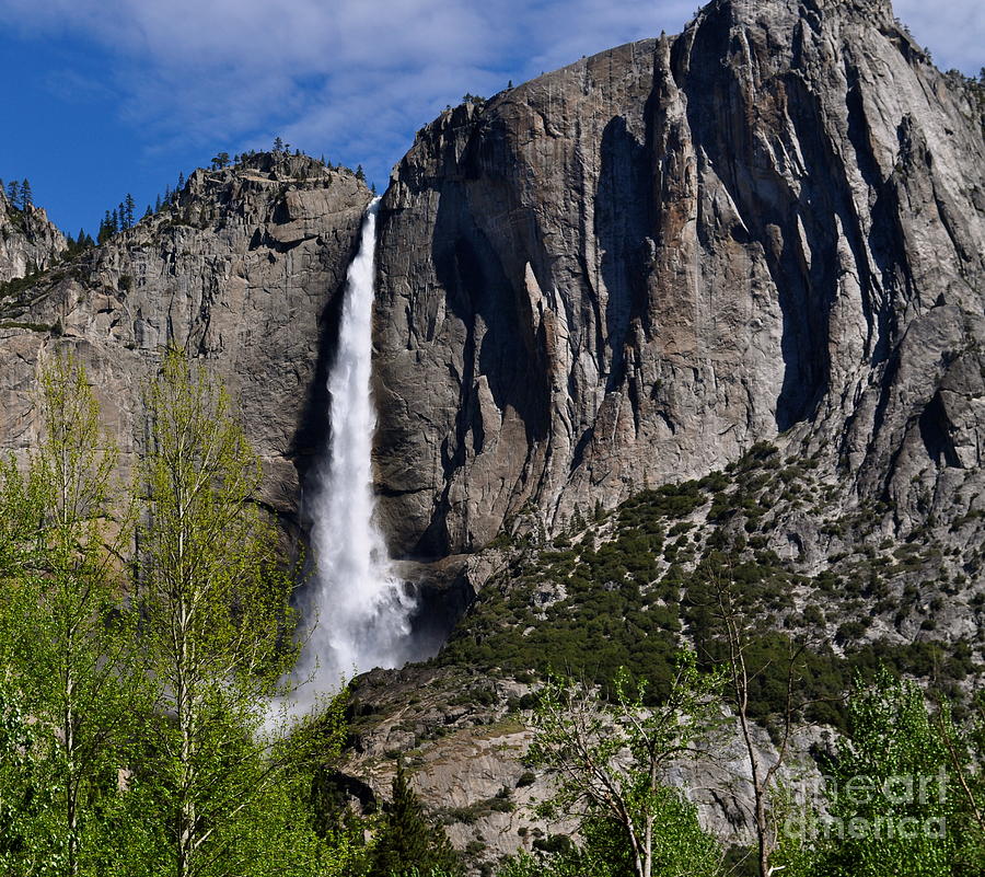 Yosemite Falls Photograph by Johanne Peale