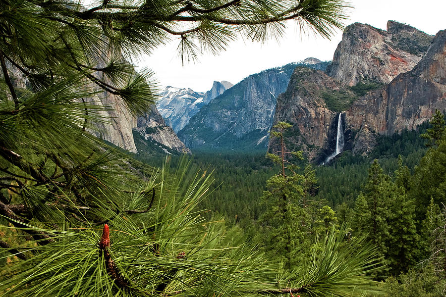 Yosemite From Tunnel View Photograph by Lorraine Devon Wilke